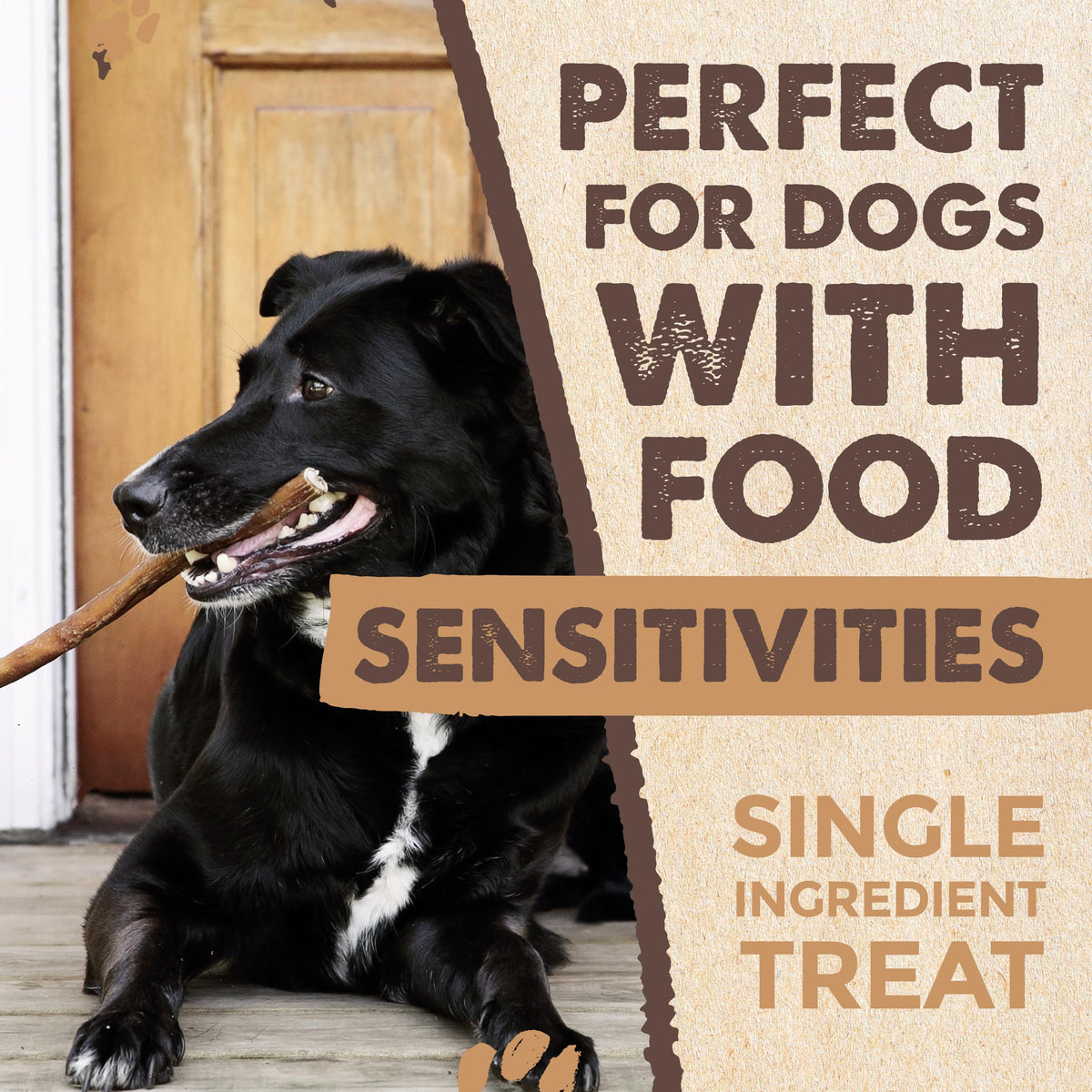 Mighty Paw 12" Bully Sticks for Dogs - Large, Medium and Small Breeds Chew