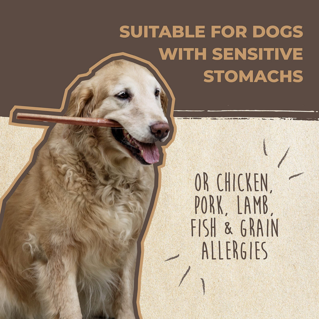 Mighty Paw 12" Bully Sticks for Dogs - Large, Medium and Small Breeds Chew