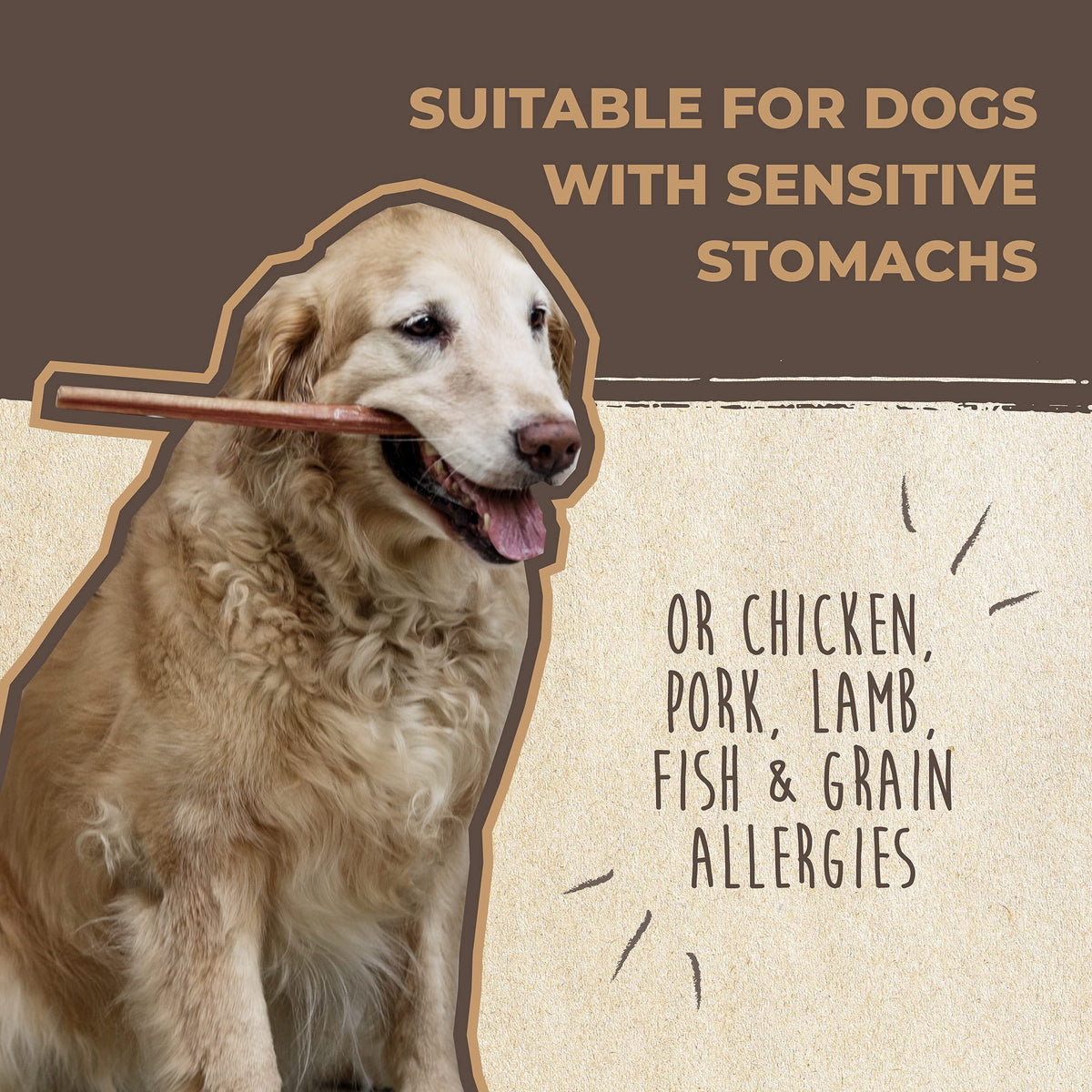 Mighty Paw 12" Bully Sticks for Dogs - Large, Medium and Small Breeds Chew