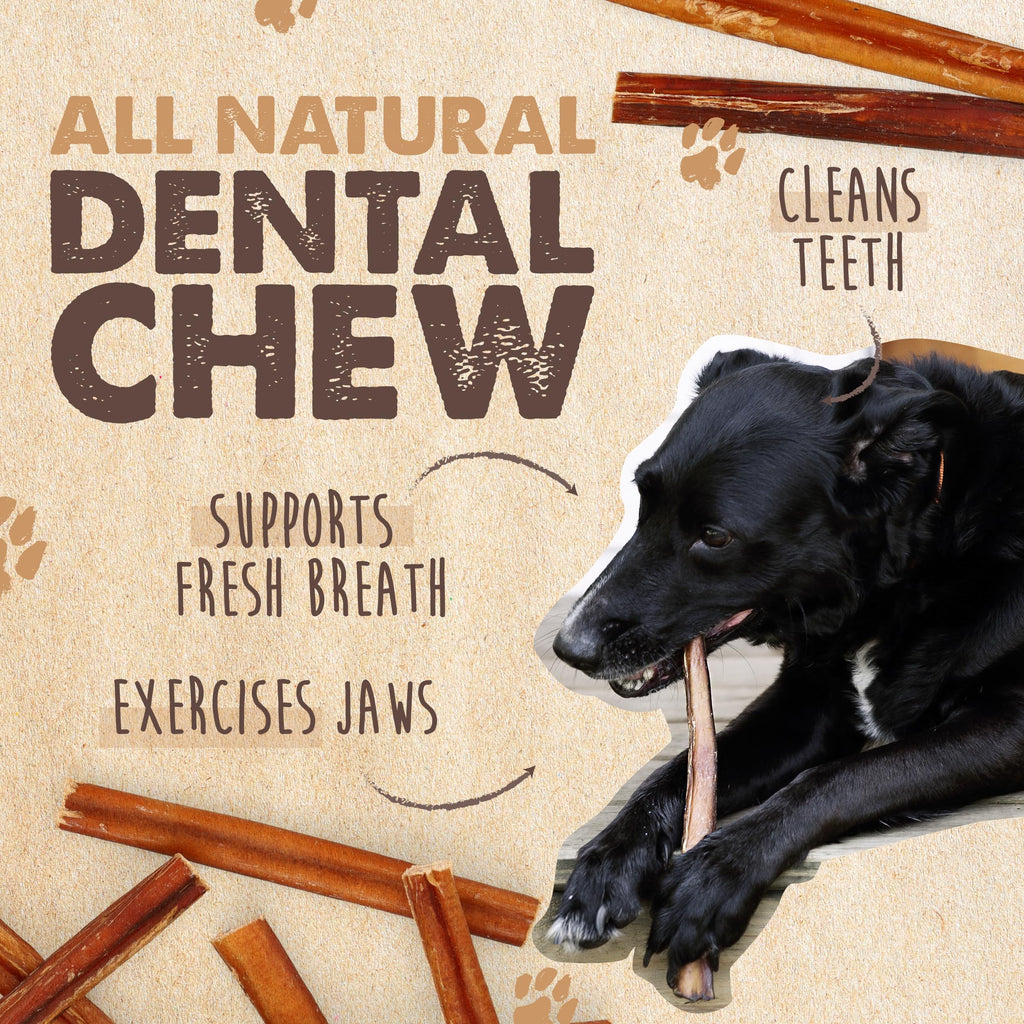 Mighty Paw 12" Bully Sticks for Dogs - Large, Medium and Small Breeds Chew