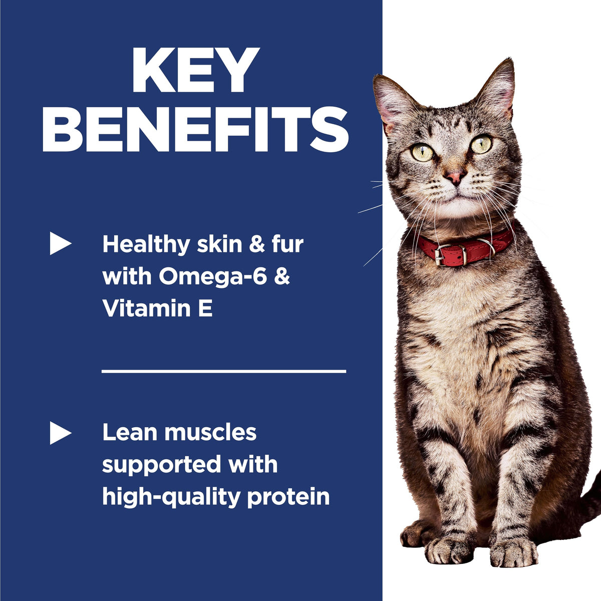 Hill's Science Diet Adult 1-6 Dry Cat Food