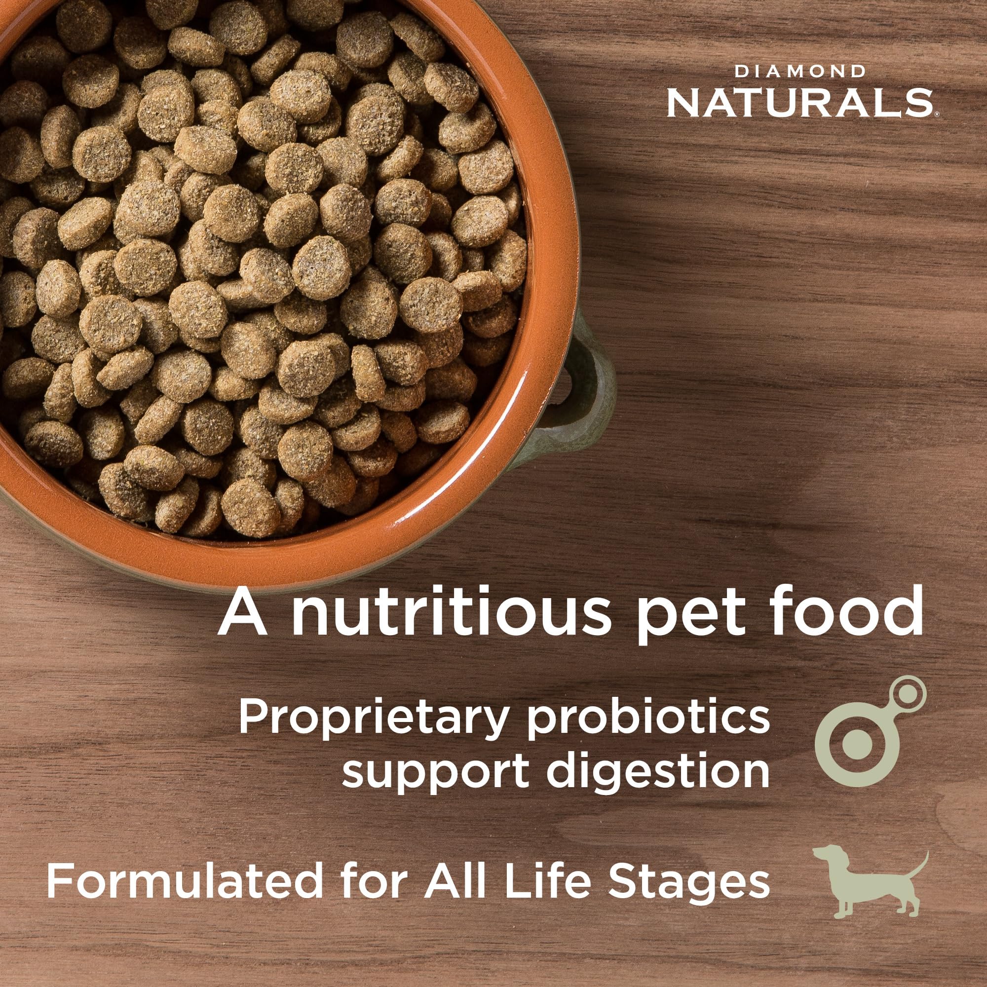 DIAMOND NATURALS Adult Dry Dog Food, Lamb Meal & Rice, 6lb