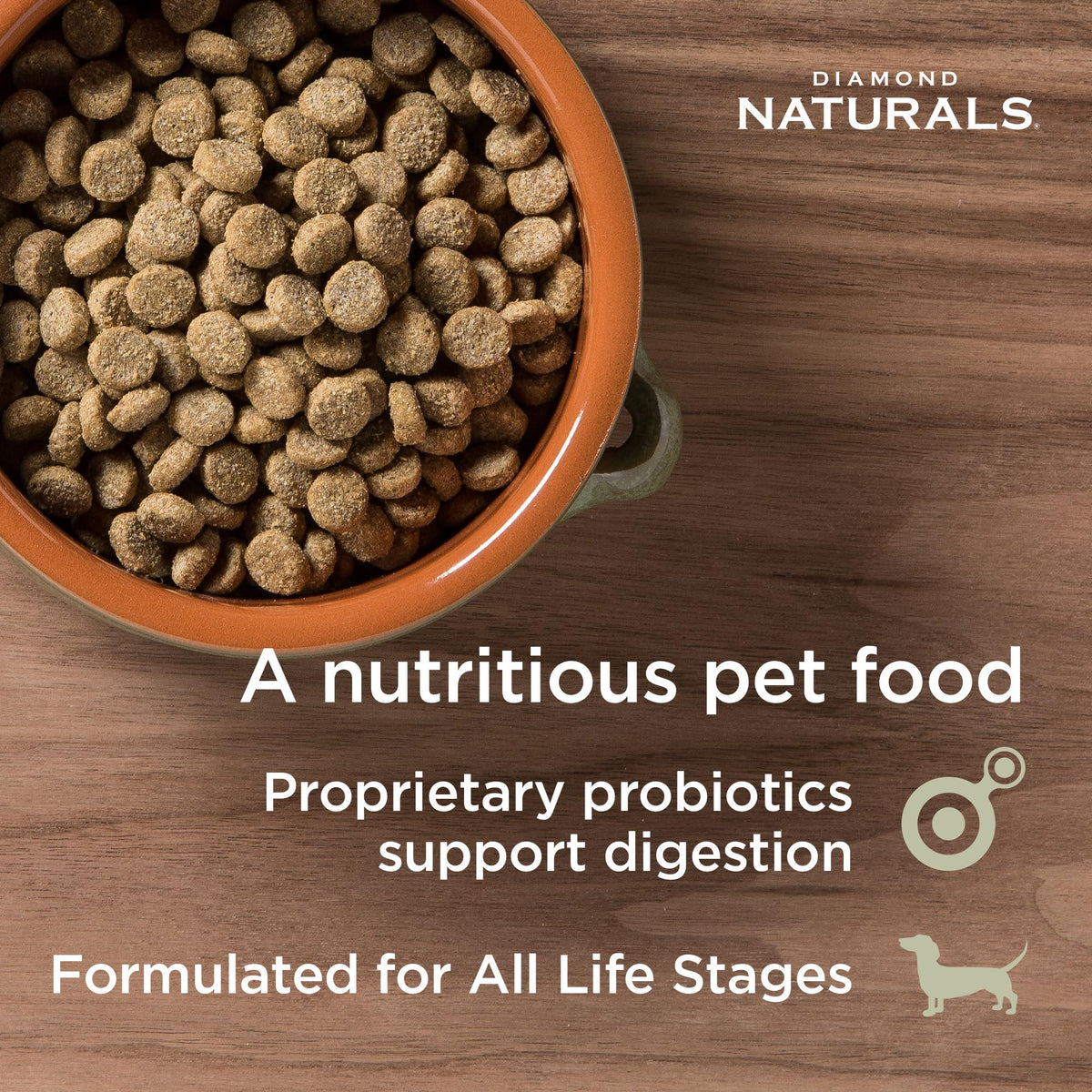 DIAMOND NATURALS Adult Dry Dog Food, Lamb Meal & Rice, 6lb