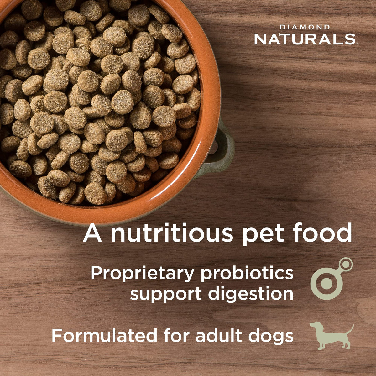DIAMOND NATURALS Adult Dry Dog Food, Lamb Meal & Rice, 6lb