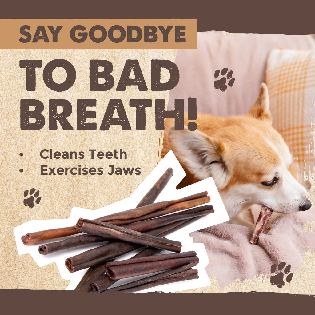 Mighty Paw 12" Bully Sticks for Dogs - Large, Medium and Small Breeds Chew