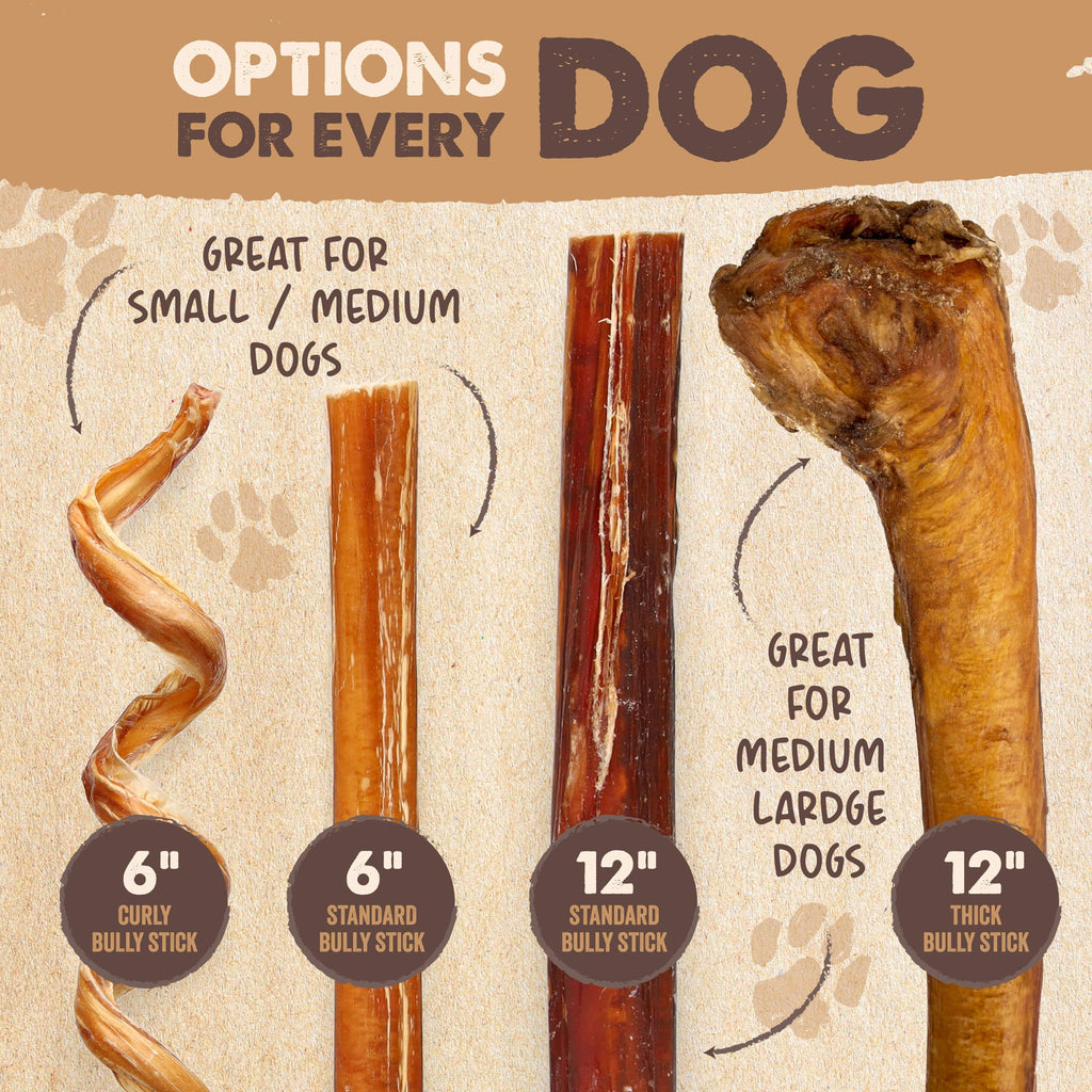 Mighty Paw 12" Bully Sticks for Dogs - Large, Medium and Small Breeds Chew