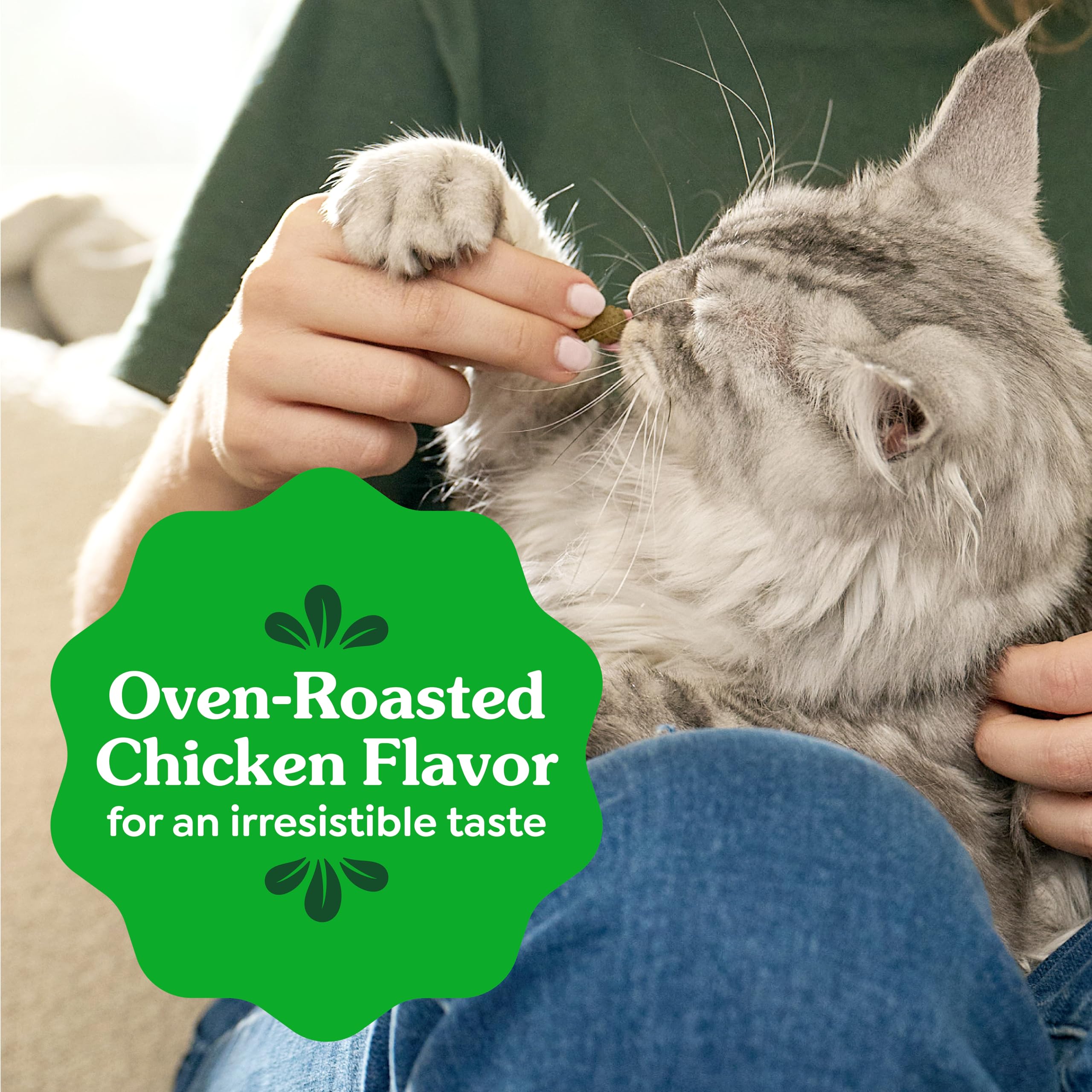 Greenies Feline Natural Dental Cat Treats, Roasted Chicken Flavor, 9.75 oz