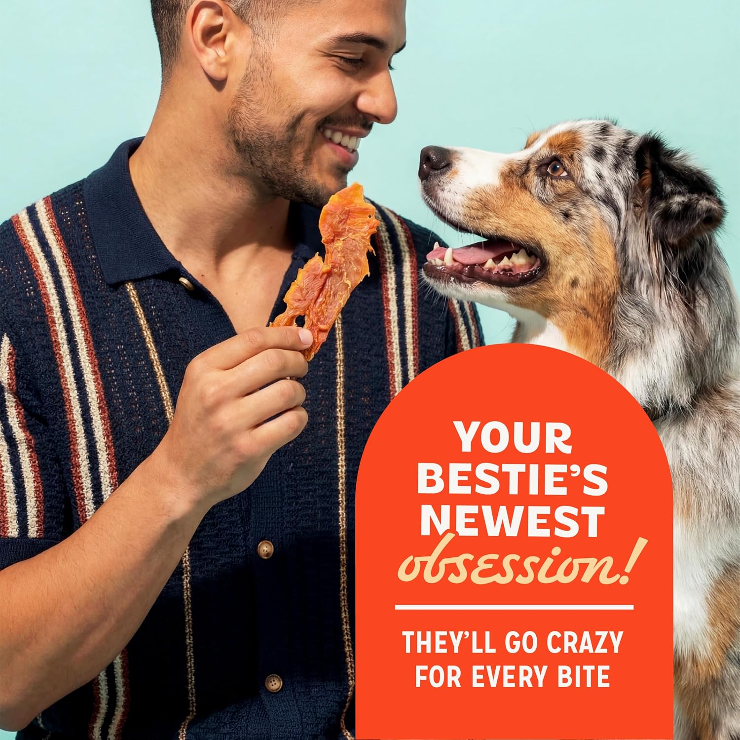 Pur Luv Dog Treats, K9 Kabobs Made with Real Chicken, Duck, and Sweet Potato, 12 Ounces, Dog Snacks, Healthy, Easily Digestible, Long-Lasting, High Protein Treat, Satisfies Urge to Chew