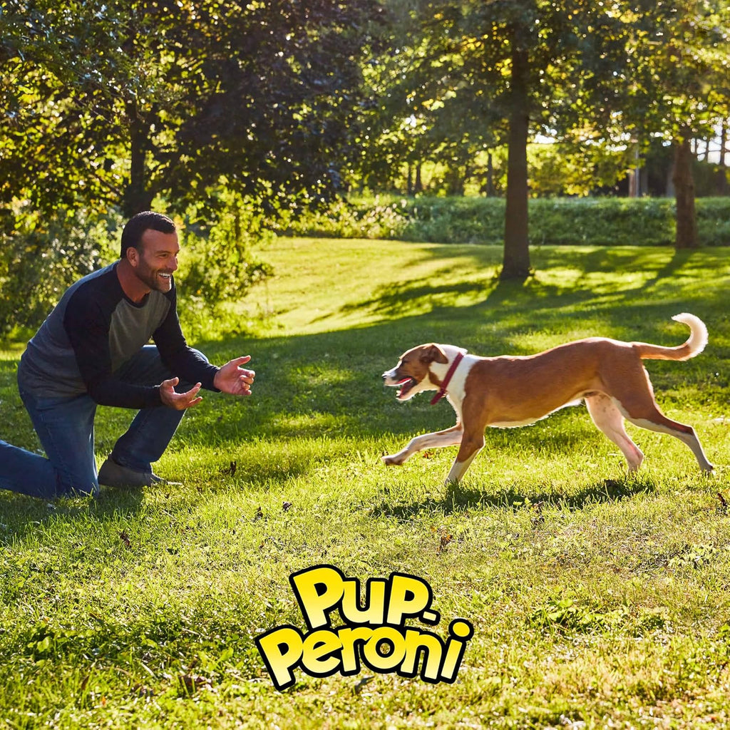 Pup-Peroni Original Beef Recipe Dog Treats, 38 Oz. Bag