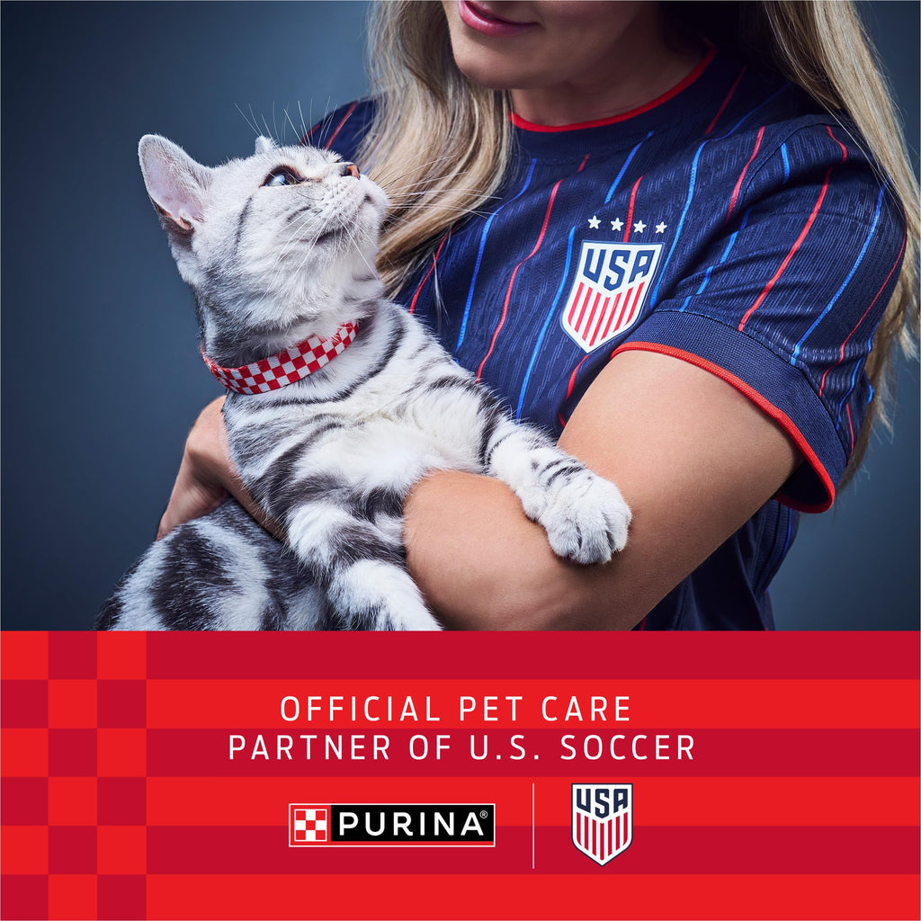 Purina ONE Tender Selects Dry Cat Food, Salmon, 7 lb Bag