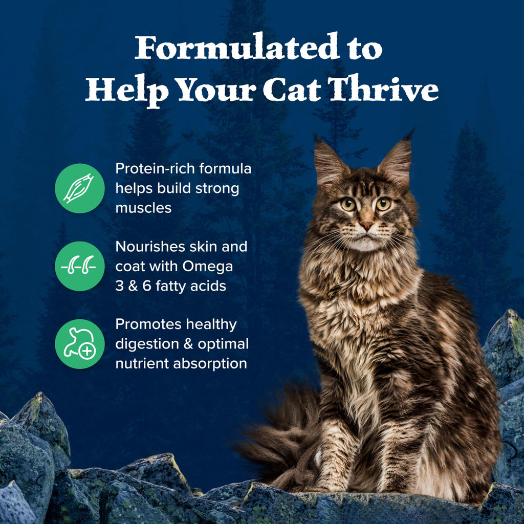 Blue Buffalo Wilderness Chicken Adult Dry Cat Food, Grain-Free, 12 lb