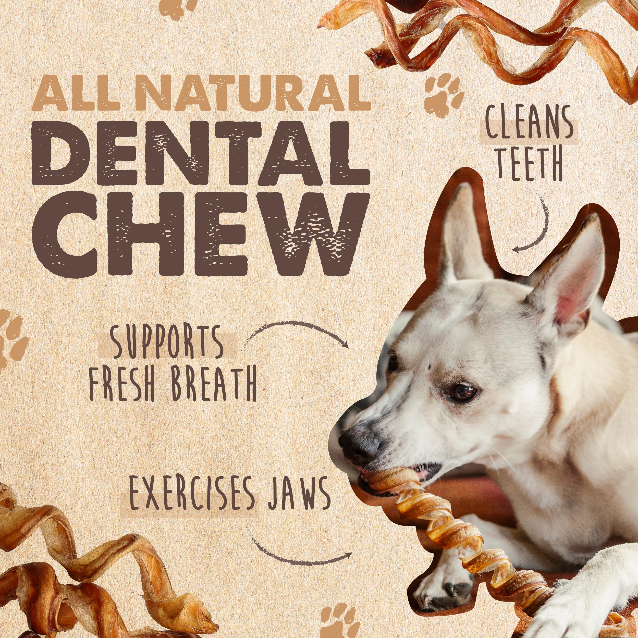 Mighty Paw 12" Bully Sticks for Dogs - Large, Medium and Small Breeds Chew