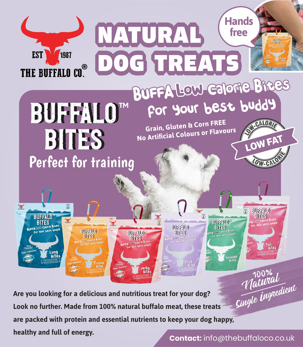 BUFFALO BITES MINI STAND DEAL (3 Cases of Each plus display stand)