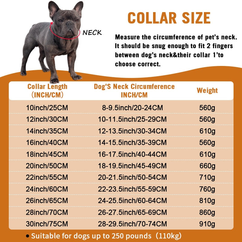 Cuban Chain Dogs Collar
