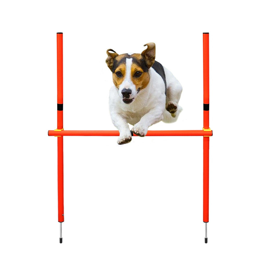 Dog Agility Training Equipment