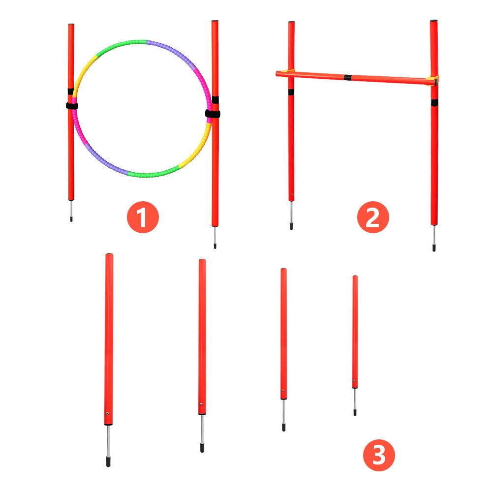 Dog Agility Training Equipment