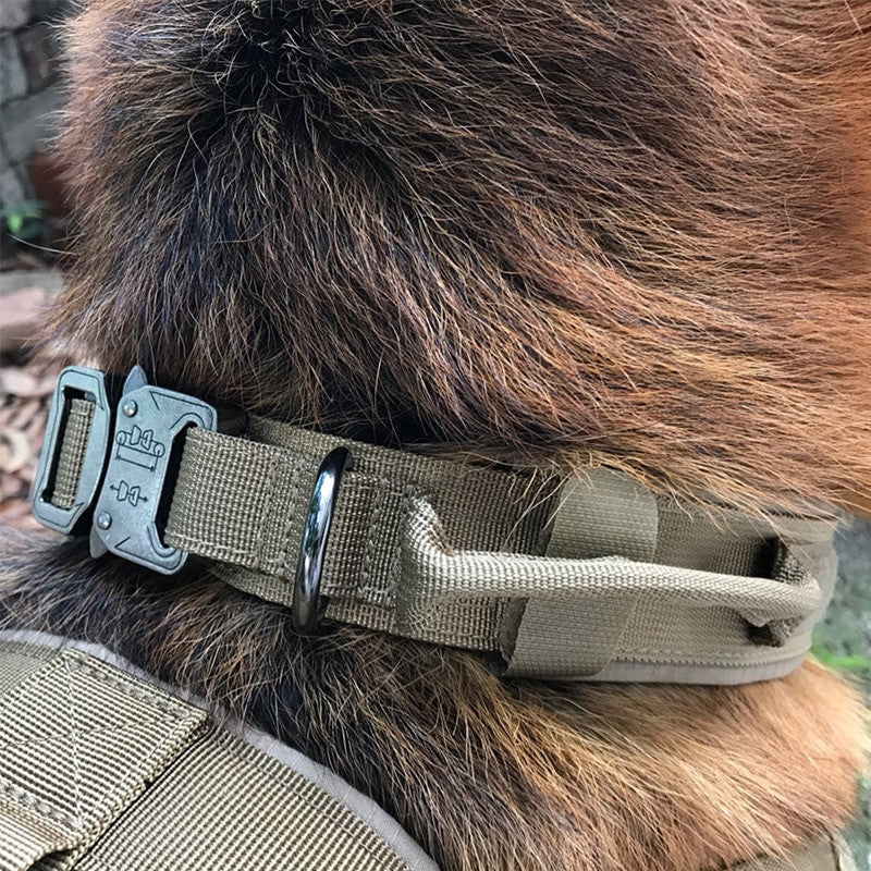 Dog Tag Nylon Tactical Collar With Handle Training Personalized