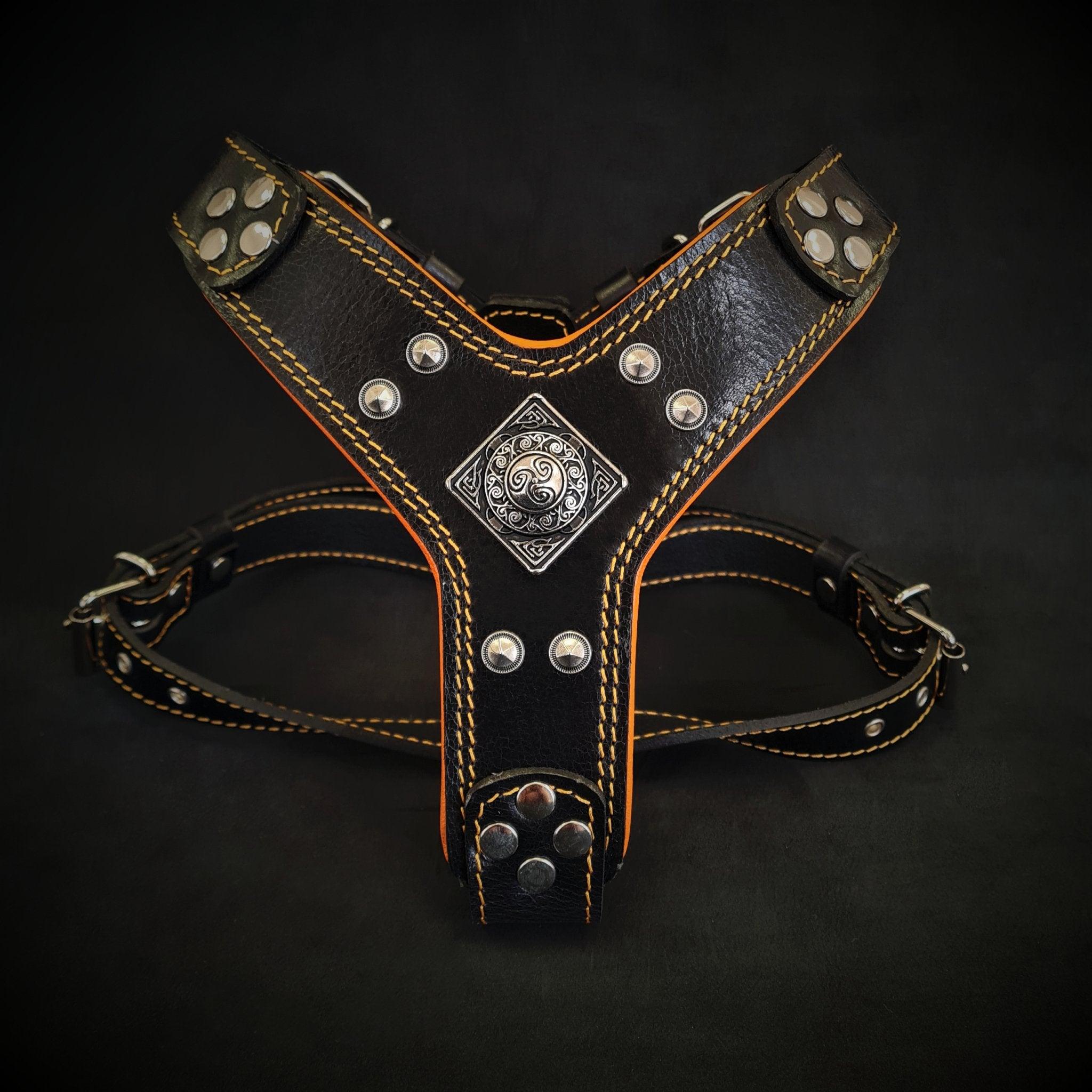 The ''Eros'' harness Black & Orange Small to Medium Size